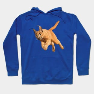 Pouncing Caracal Cat Hoodie